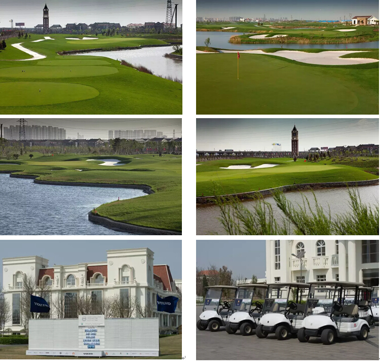 1492239066542941.jpg 图片合集1.jpg