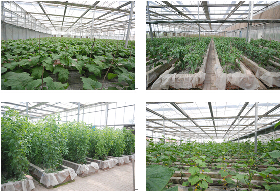 1492240670382116.jpg 合1.jpg