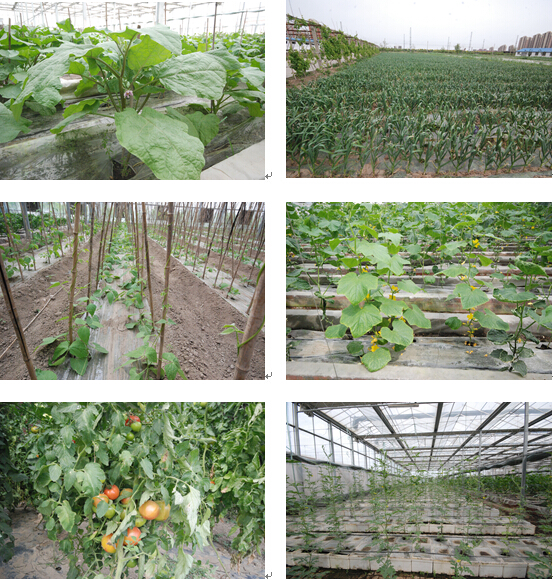 1492240728679569.jpg 合2.jpg