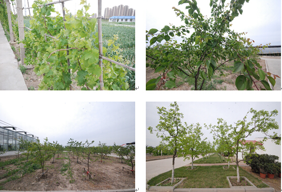 1492240771203053.jpg 合3.jpg