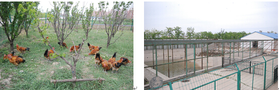 1492240888105162.jpg 合5.jpg