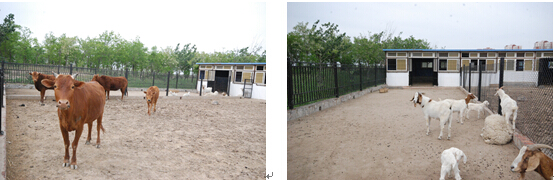 1492241021990045.jpg 合6.jpg