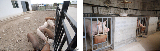 1492241073443568.jpg 合7.jpg