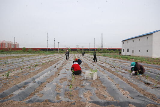 1492241083326052.jpg 合8.jpg