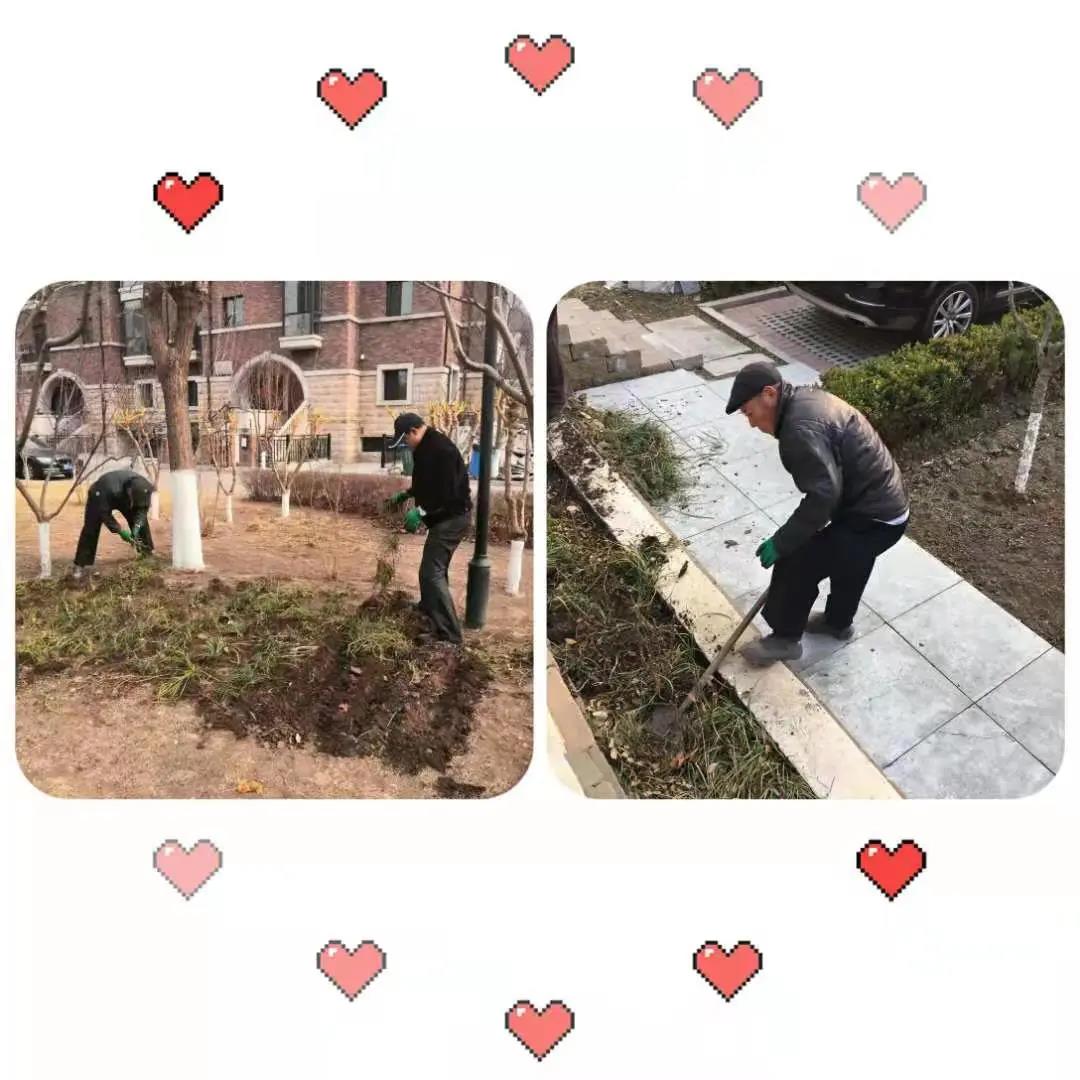 1615529627232846.jpg 1615529627232846.jpg