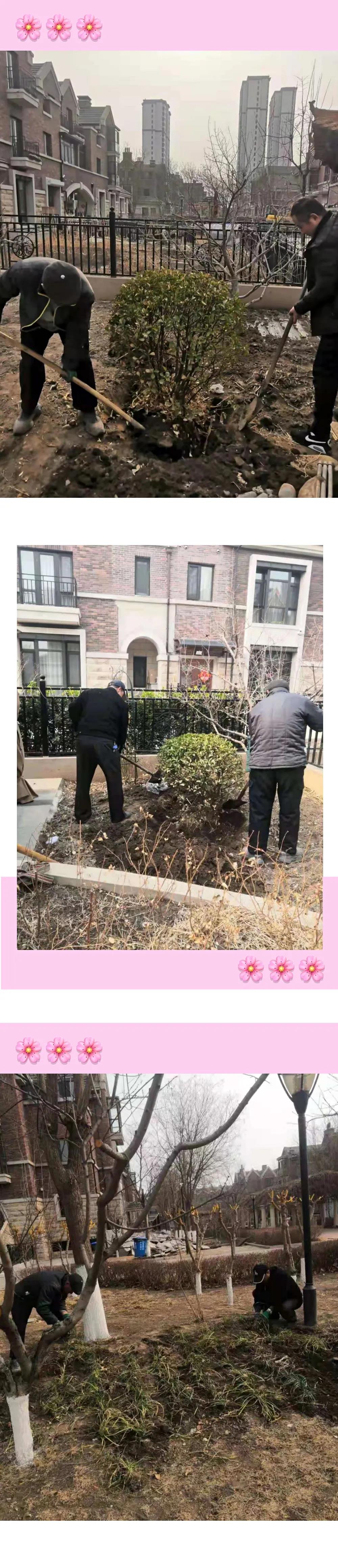 1615529674709286.jpg 1615529674709286.jpg