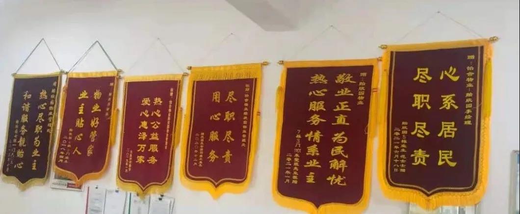 1625128424750250.jpg 1625128424750250.jpg