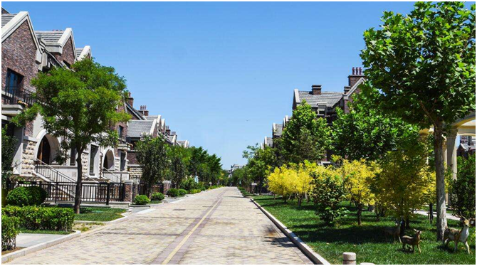 1626338929526994.png 1626338929526994.png